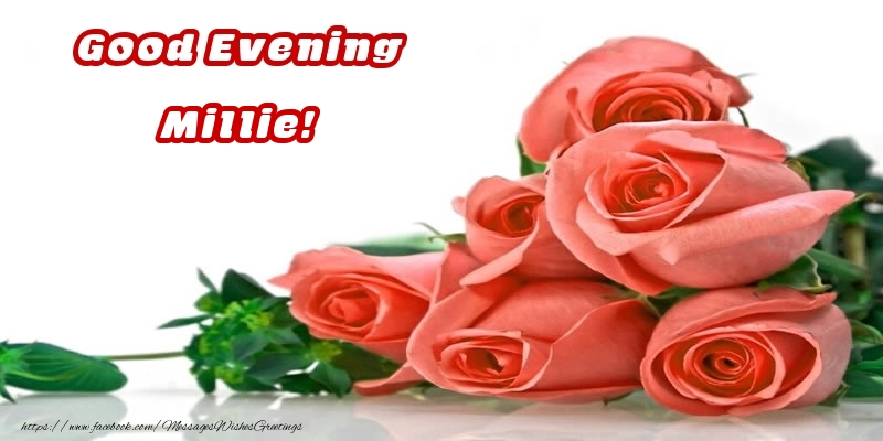 Greetings Cards for Good evening - Roses | Good Evening Millie